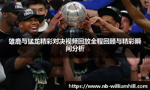 威廉希尔登录入口