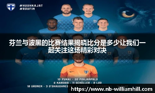 芬兰与波黑的比赛结果揭晓比分是多少让我们一起关注这场精彩对决
