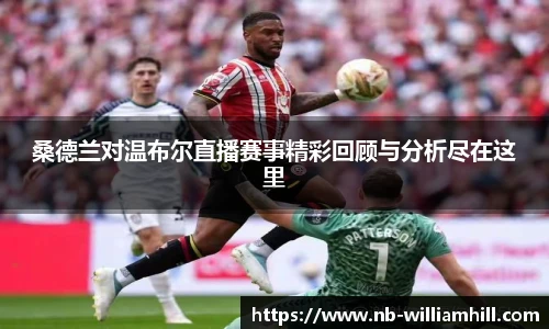 桑德兰对温布尔直播赛事精彩回顾与分析尽在这里